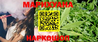 индика Гусь-Хрустальный