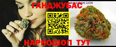 индика Гусь-Хрустальный