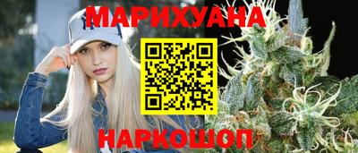 индика Гусь-Хрустальный
