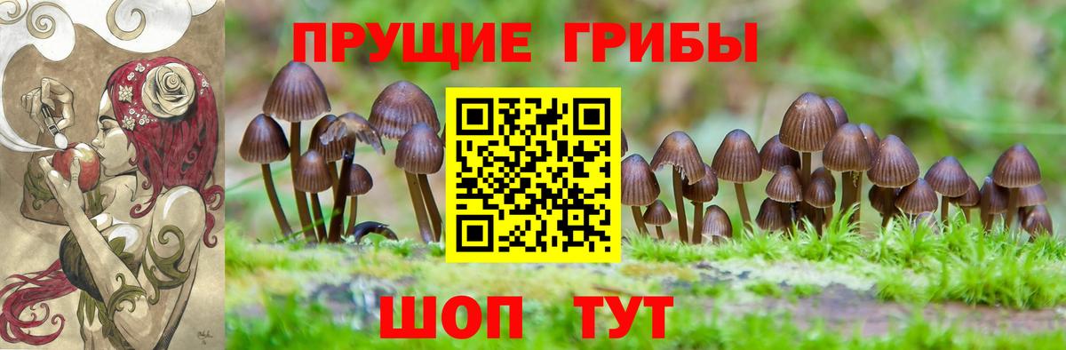 Псилоцибиновые грибы мухоморы  Вход с VPN  Галлюциногенные грибы MAGIC MUSHROOMS  Владикавказ 