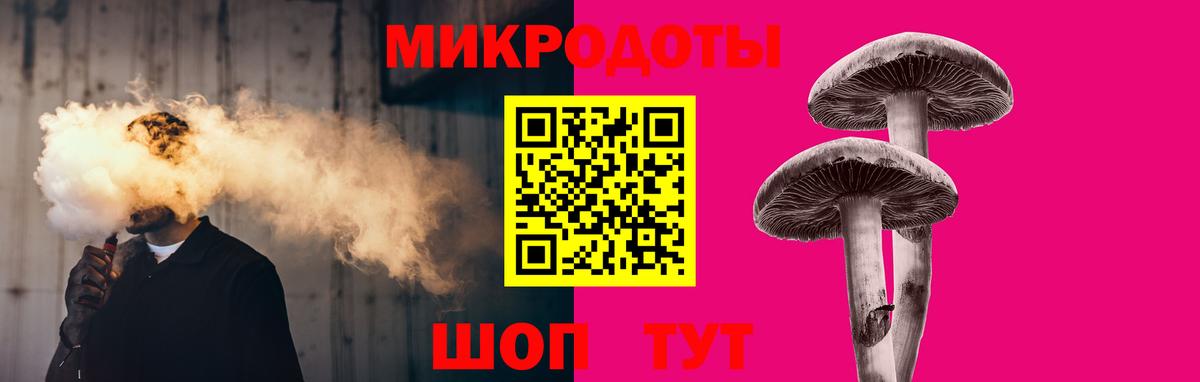 Псилоцибиновые грибы Psilocybe Владикавказ